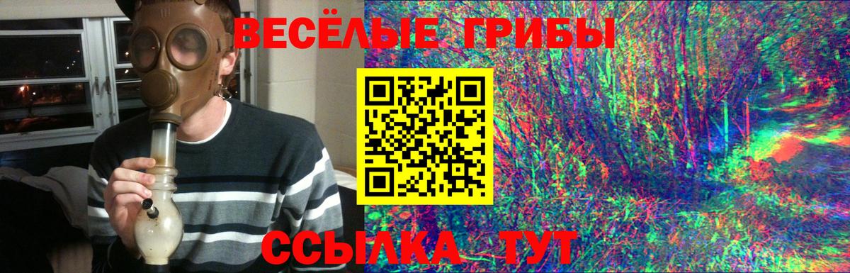 Галлюциногенные грибы Psilocybe  Вход с VPN  Туймазы 